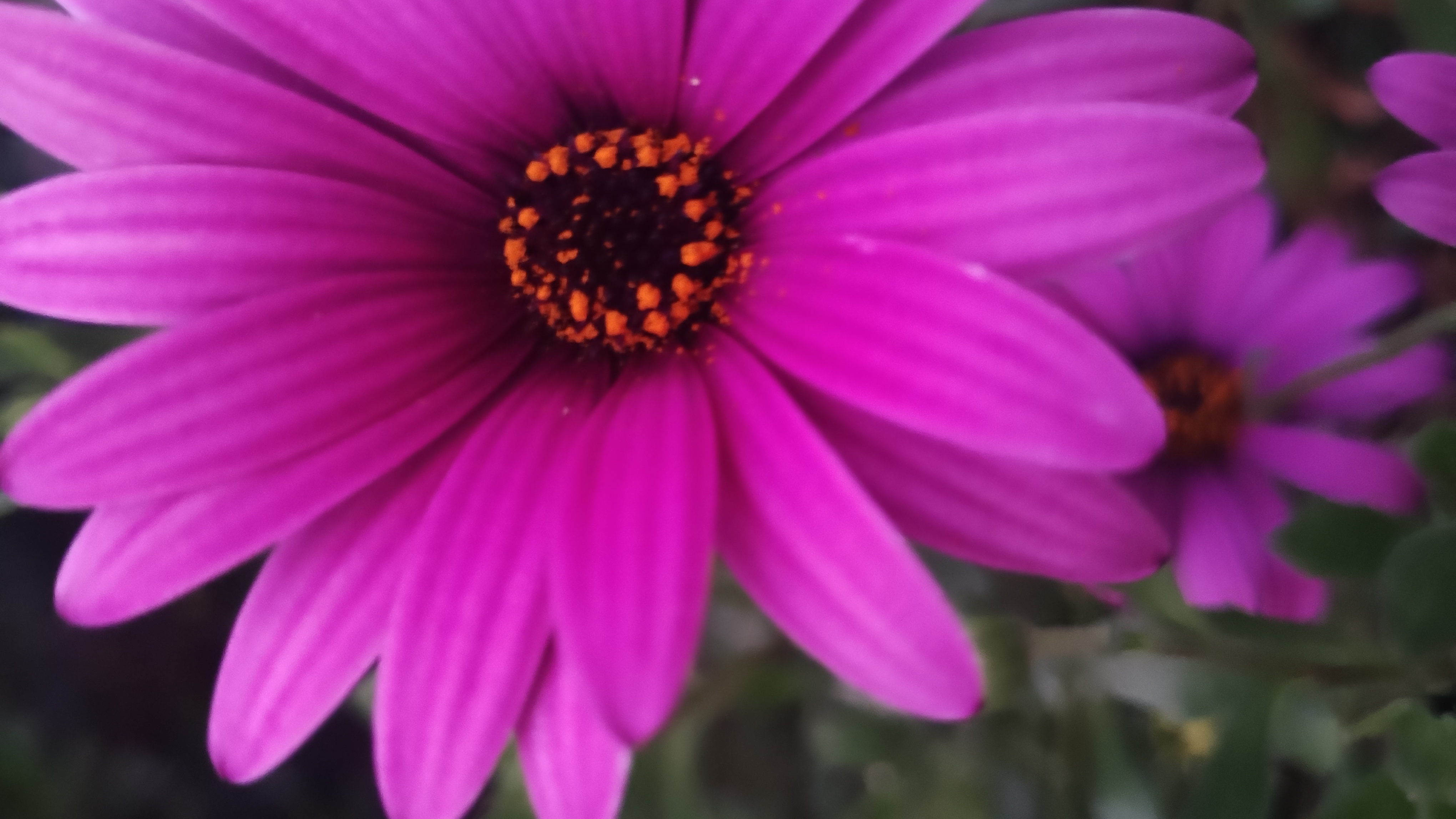 Architecture photo 3